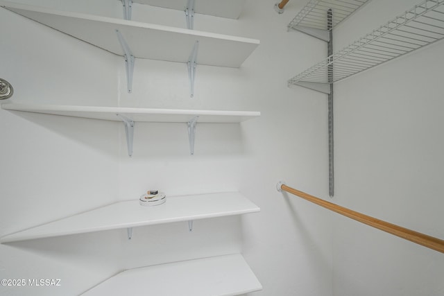 view of walk in closet