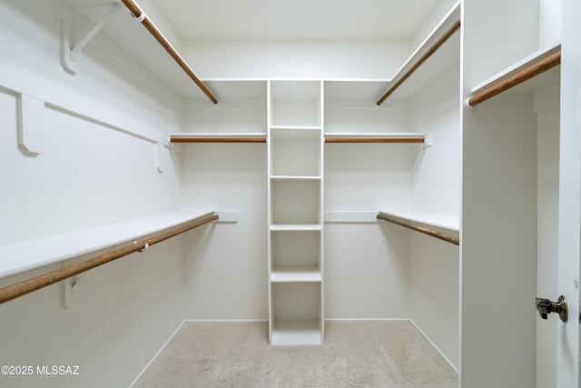 5790 E Chiricahua Trl, Tucson, AZ 85750 - spacious closet featuring carpet flooring