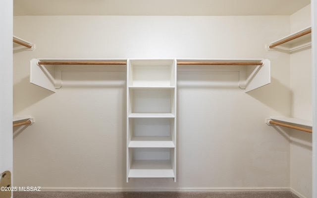 9664 E Paseo, San Rosendo, Tucson, AZ 85747 - view of walk in closet