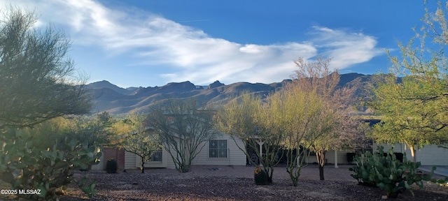 4081 N Hidden Cove Pl, Tucson, AZ 85749 - view of mountain background