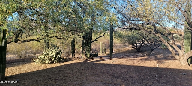 4081 N Hidden Cove Pl, Tucson, AZ 85749 - view of yard