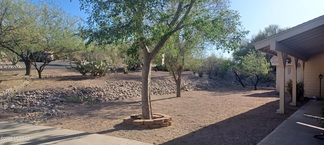 4081 N Hidden Cove Pl, Tucson, AZ 85749 - view of yard