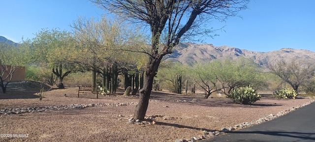 4081 N Hidden Cove Pl, Tucson, AZ 85749 - view of mountain backdrop