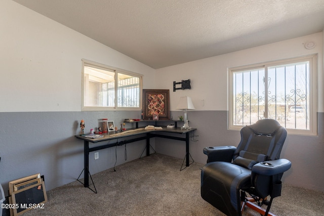 2621 W Rapallo Way, Tucson, AZ 85741 - office space with carpet and lofted ceiling