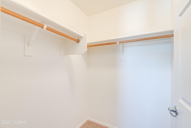 8045 S Red Sox Rd, Tucson, AZ 85756 - spacious closet with carpet flooring