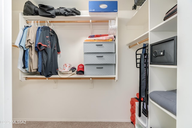 8045 S Red Sox Rd, Tucson, AZ 85756 - walk in closet with carpet