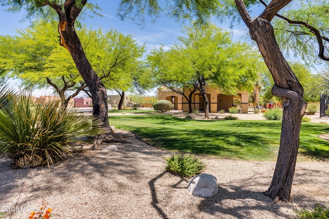 8045 S Red Sox Rd, Tucson, AZ 85756 - view of grassy yard