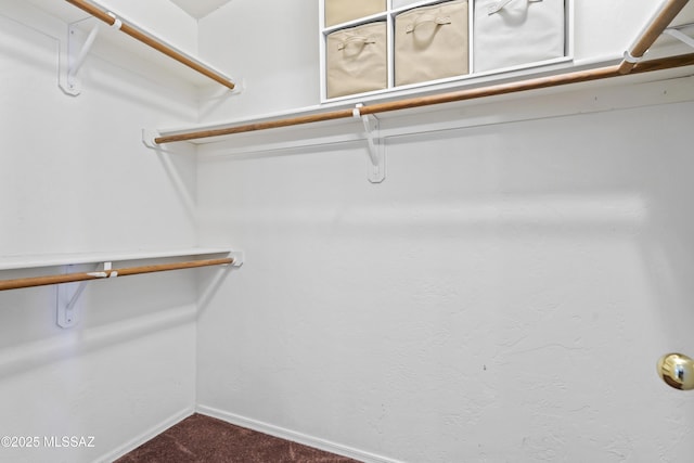 8807 S Desert Rainbow Dr, Tucson, AZ 85747 - walk in closet featuring carpet floors