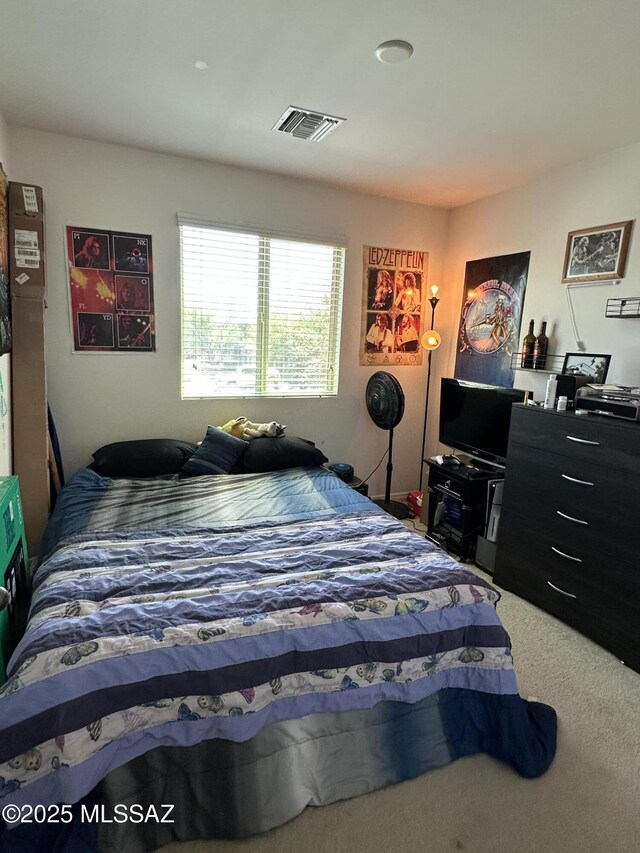 1027 E Madera Grove Ln, Sahuarita, AZ 85629 - view of carpeted bedroom