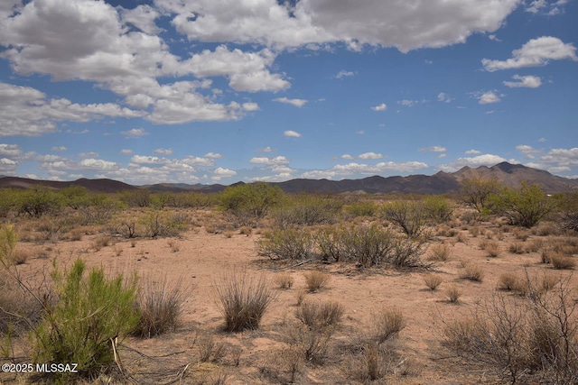 2.7AC W Austin Henely Rd Unit 706, Elfrida, AZ 85610