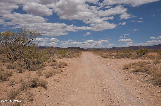 2.7AC W Austin Henely Rd Unit 706, Elfrida, AZ 85610