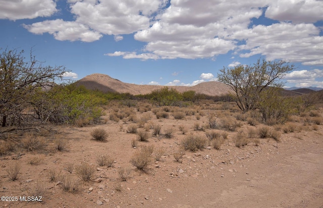 2.7AC W Austin Henely Rd Unit 706, Elfrida, AZ 85610