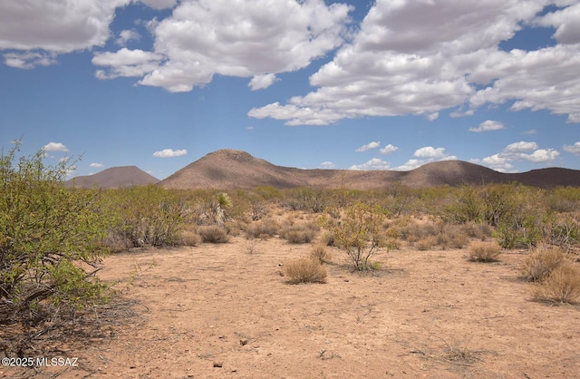 2.7AC W Austin Henely Rd Unit 706, Elfrida, AZ 85610