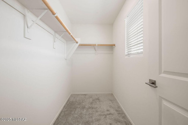14259 E Yellow Sage Ln, Vail, AZ 85641 - walk in closet featuring carpet floors