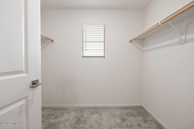 14259 E Yellow Sage Ln, Vail, AZ 85641 - spacious closet featuring carpet