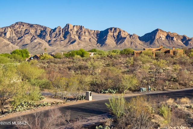 14122 N Silver Cloud Dr Unit 8, Oro Valley, AZ 85755
