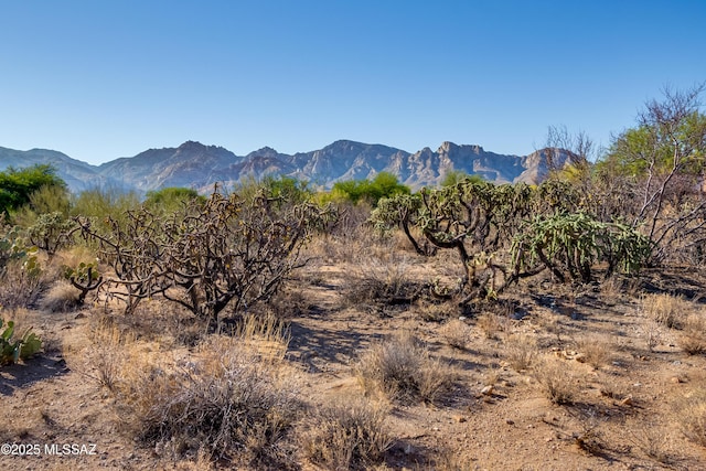 14122 N Silver Cloud Dr Unit 8, Oro Valley, AZ 85755