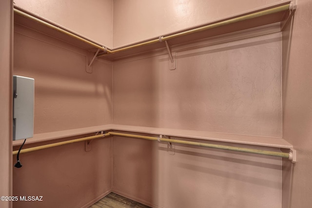 110 Post Way, Tubac, AZ 85646 - view of walk in closet