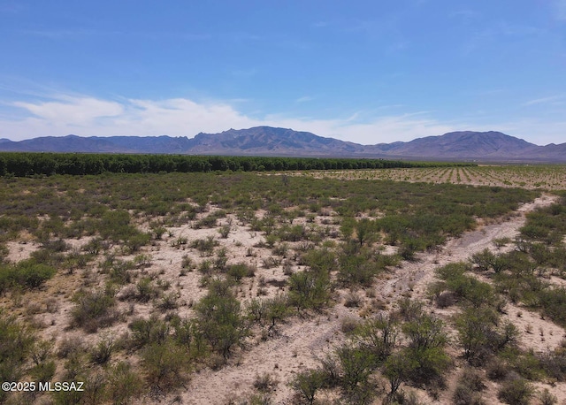 4LOTS N Quarter Horse Rd Unit 6, Cochise, AZ 85606