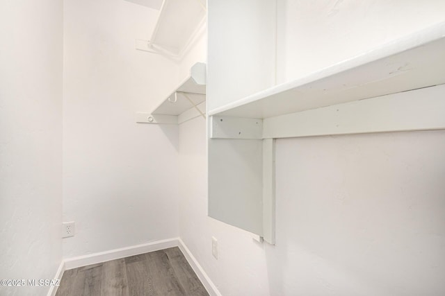 walk in closet featuring wood finished floors