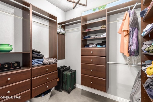 view of spacious closet