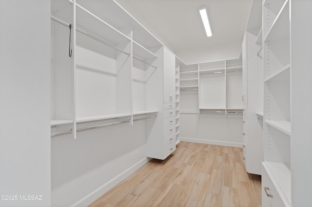 31566 S Misty Basin Rd, Oracle, AZ 85623 - spacious closet featuring wood finished floors