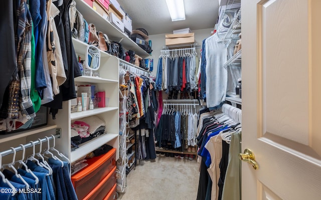 13570 E Hampden Green Way, Vail, AZ 85641 - spacious closet with carpet