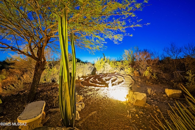545 E Thunderstorm Pl, Oro Valley, AZ 85755 - view of nature