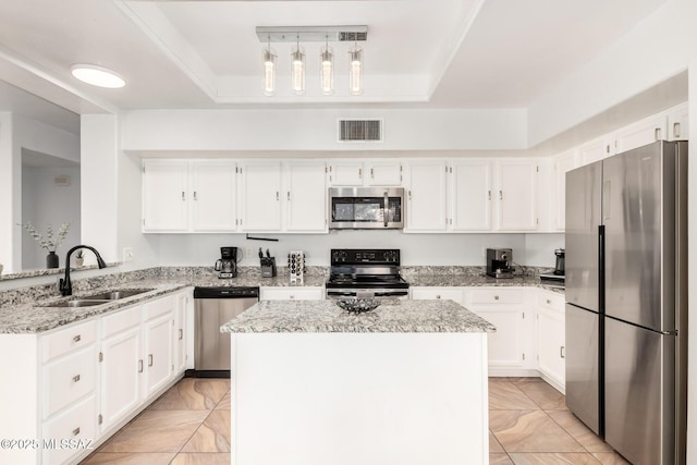 9870 N Meadow Flower Pl, Tucson, AZ 85742 - kitchen featuring appliances with stainless steel finishes, a sink, a tray ceiling, and light stone countertops
