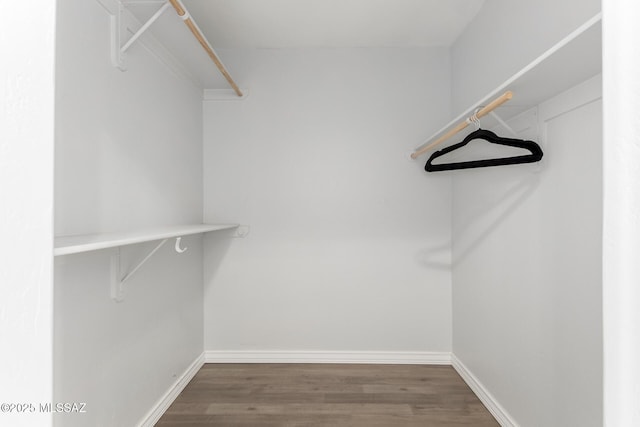 9870 N Meadow Flower Pl, Tucson, AZ 85742 - walk in closet with wood finished floors