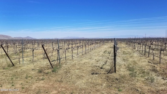 1203 N Cochise Stronghold Rd, Cochise, AZ 85606 - view of yard with a view of countryside, fence, and a mountain view