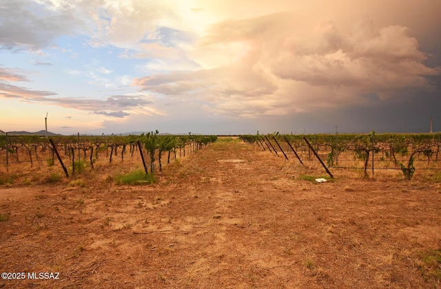 1203 N Cochise Stronghold Rd, Cochise, AZ 85606 - yard at dusk with a view of rural / pastoral area and agricultural area