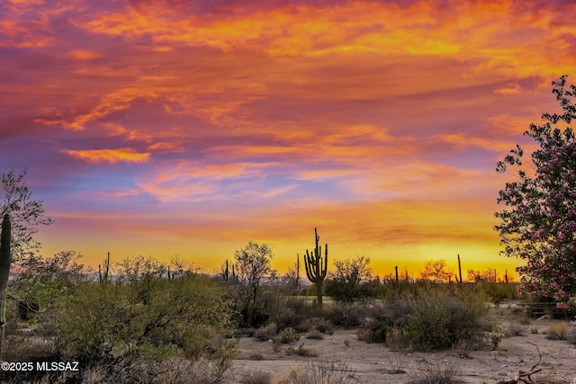 7106 W Foothills Acacia Pl, Marana, AZ 85658 - view of nature
