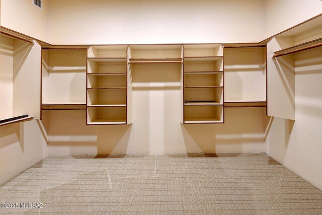 5269 N Pontatoc Rd, Tucson, AZ 85718 - walk in closet with carpet floors