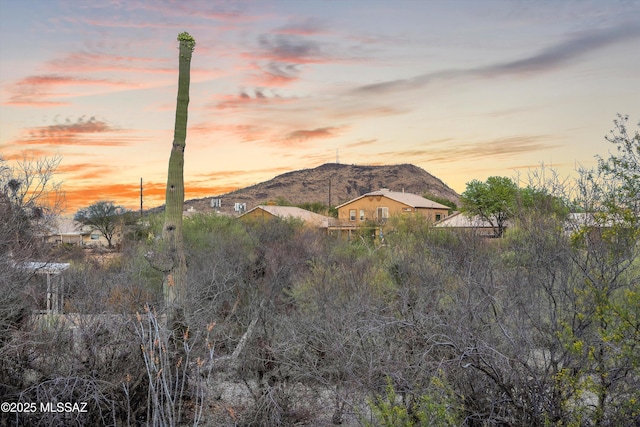 182 N Desert Park Pl, Tucson, AZ 85745 - view of mountain backdrop