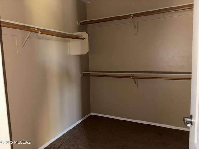 262 W Calle Paso Suave, Sahuarita, AZ 85629 - walk in closet featuring dark colored carpet