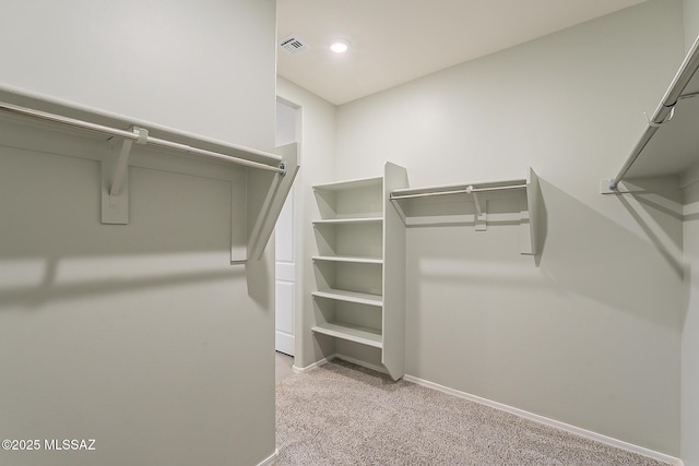 11881 W Charismatic Dr, Marana, AZ 85653 - walk in closet with light carpet