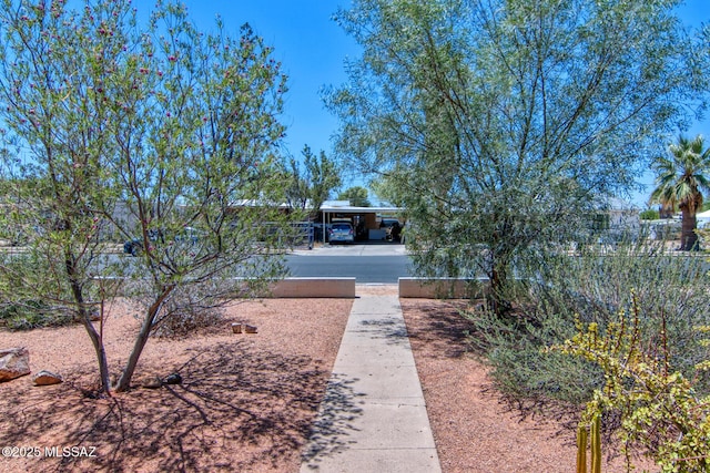 3341 E 23rd St, Tucson, AZ 85713 - view of yard
