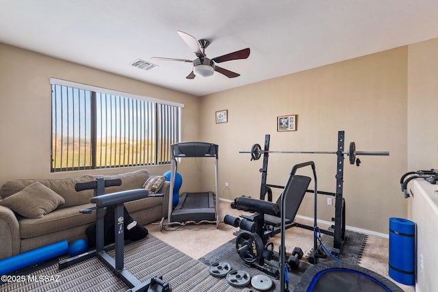 14234 E Placita Niebla, Tucson, AZ 85747 - workout room featuring a ceiling fan, baseboards, and carpet flooring