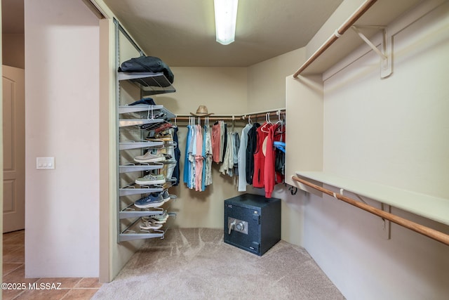 124 Circulo Vespucci, Tubac, AZ 85646 - view of walk in closet
