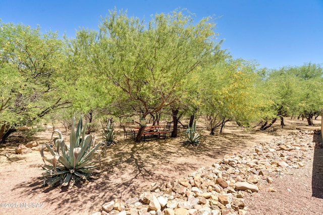 124 Circulo Vespucci, Tubac, AZ 85646 - view of yard