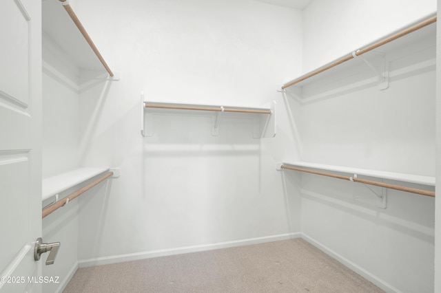 12513 Denton Way, Marana, AZ 85653 - spacious closet with light colored carpet