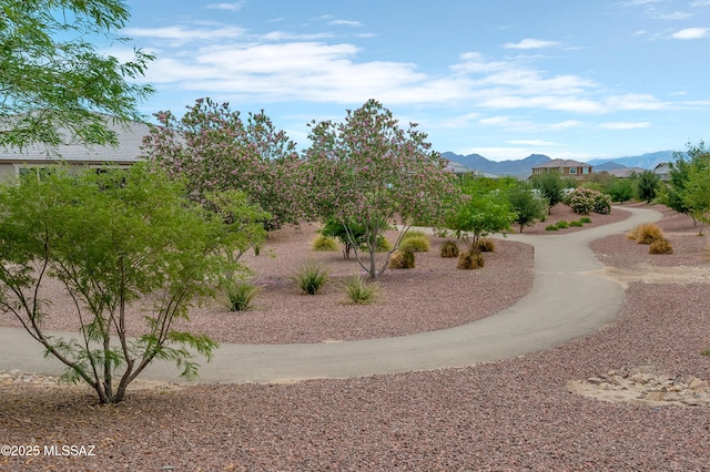 12513 Denton Way, Marana, AZ 85653 - view of home's community featuring a mountain view
