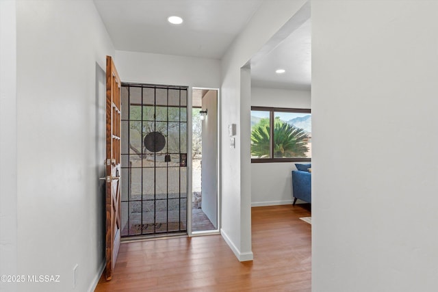 1241 W Cananea Cir, Tucson, AZ 85704 - entryway featuring wood finished floors, baseboards, and recessed lighting