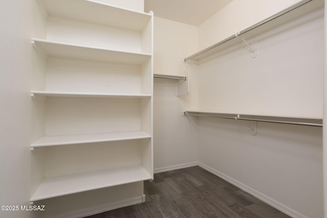 8040 N Desert Gum Dr, Tucson, AZ 85741 - spacious closet featuring dark wood finished floors