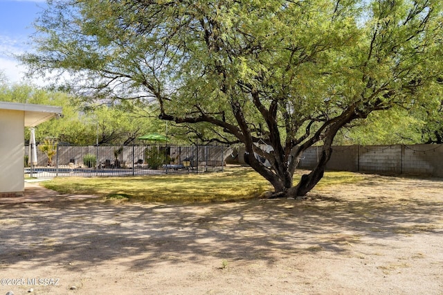 3600 N Hash Knife Cir, Tucson, AZ 85749 - view of fenced backyard