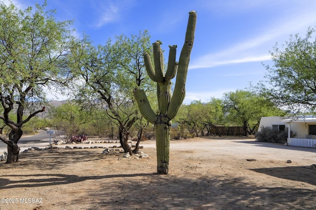 3600 N Hash Knife Cir, Tucson, AZ 85749 - view of yard with fence