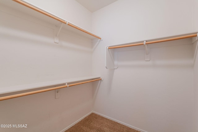 15815 S Via Cayetano, Sahuarita, AZ 85629 - spacious closet featuring carpet