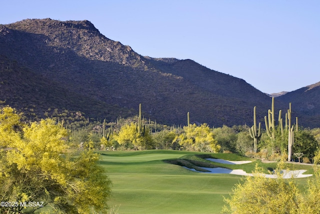 6107 W Seven Saguaros Cir Unit 55, Marana, AZ 85658
