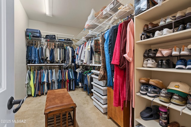 59962 E Arroyo Grande Dr, Oracle, AZ 85623 - walk in closet featuring carpet